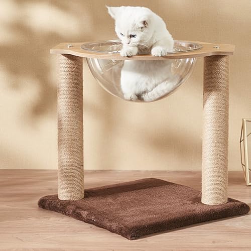 Lbg^[ ~j L^[ ܌ Ⴂ 40*40*43 ^ RpNg ܂Ƃ u ȃXy[X L VRTCU L̗Vя  J[2 낵W]