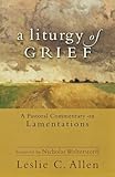 A Liturgy of Grief: A Pastoral Commentary on Lamentations