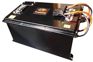 MuscleGrid LiFePO4 Battery for E-Rickshaw, 51.2V 120Ah, Heavy Duty with Live GPS Tracking, Fully Smart, Active Balancer BMS, Running Average 140KM+ with Digital Display Attachment and BT Monitoring