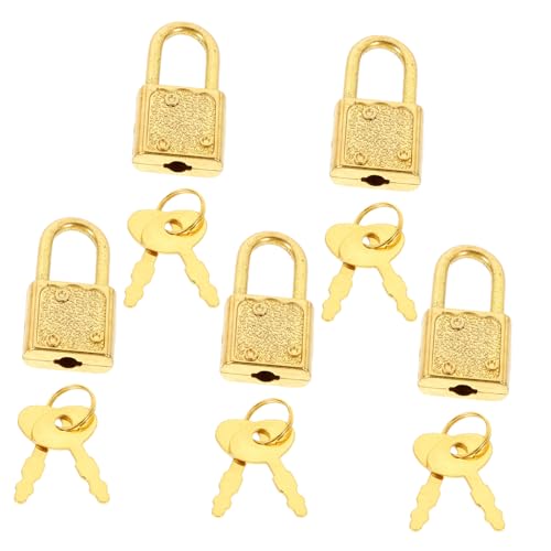 DECORNIJIA 5セット アンティーク調 宝箱ロック 鍵付き 小型メタル南京錠 耐久性 設計 木箱用 小さな宝箱 収納ボックス向け