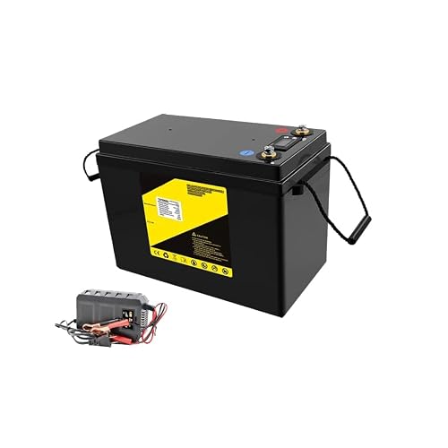 Hjghy 12V 200Ah Lifepo4 Lithium Iron Phosphate Battery With 3000+ Deep Cycles And Bms Protection For Power Scooter/Electric Car Rechargeable Battery Pack #TOP5