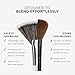 HALEYS Beauty Fan Makeup Brush for Applying, Blending and Diffusing Powder Foundation, Bronzer, Blush, Highlighter, Makeup Brushes Essential, Soft Bristles, Vegan & Cruelty Free