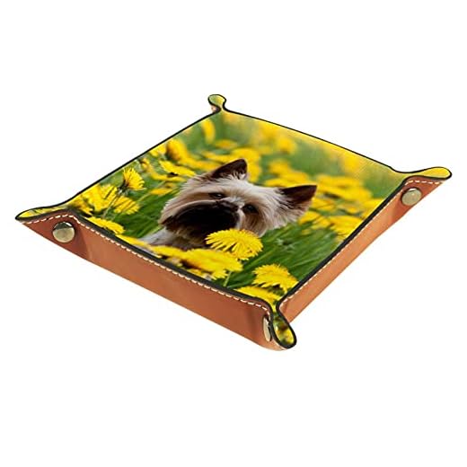 Betjänad bricka Catchall bricka skrivbordsorganisatör för män kvinnor nyckelbricka för bord mynt städa upp Yorkshire terrier blommande äng för kontor hem