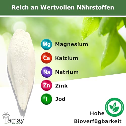 Tamay Sepiaschalen Premium 12 Stück I Optimale Kalzium u. Vitaminversorgung Nahrung, Futter für Reptilien, Schildkröten, Vögel I Sepia Schalen Terrarium Zubehör