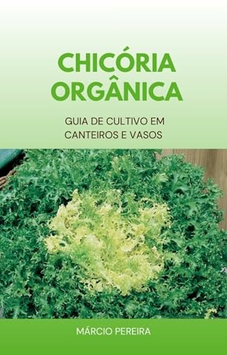 Chicória Orgânica: Guia de Cultivo em Canteiros e Vasos