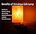 Spantik Himalayan Rock Salt Night Light Cylinder Shape 2Pack
