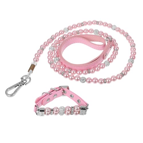 Laisse pour chien de course et collier en perles pour chat