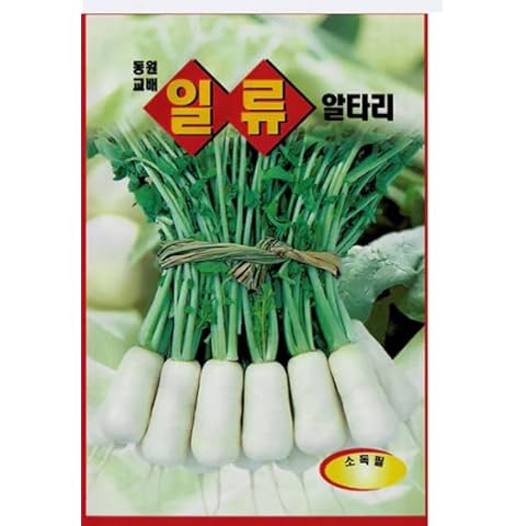 Altari Radish, Young Radish - Korean Vegitable Seeds 2Pack Cover