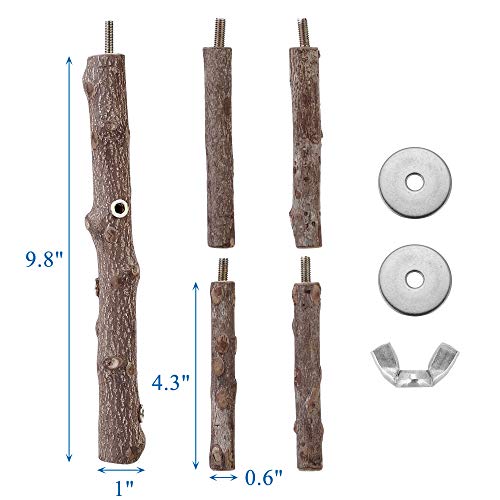Mogoko Natural Wood Bird Perch Stand, Hanging Multi Branch Perch for Parrots, Parakeets Cockatiels, Conures, Macaws, Love Birds, Finches - Thumbnail 2
