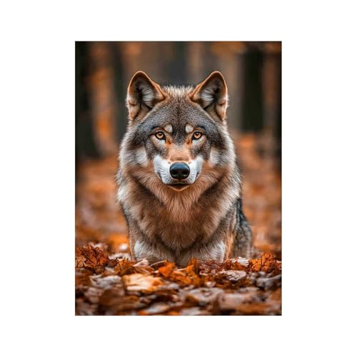 �������G �T �����h��G�� 40 x 55 cm �L�����o�X ���G�Z�b�g ��� �H �G���|�L�b�g �A�N�����G�̋� Paint by Numbers for Adults �G�� �E�H�[���A�[�g �C���e���A �̂��߂� Room Decoration Item