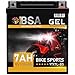 BSA YTX7L-BS GEL Roller Batterie 12V 7Ah 120A/EN Motorradbatterie doppelte Lebensdauer entspricht 50614 CTX7L-BS vorgeladen auslaufsicher wartungsfrei ersetzt 6Ah 12V/140A günstig Kaufen-BSA YTX7L-BS GEL Roller Batterie 12V 7Ah 120A/EN Motorradbatterie doppelte Lebensdauer entspricht 50614 CTX7L-BS vorgeladen auslaufsicher wartungsfrei ersetzt 6Ah