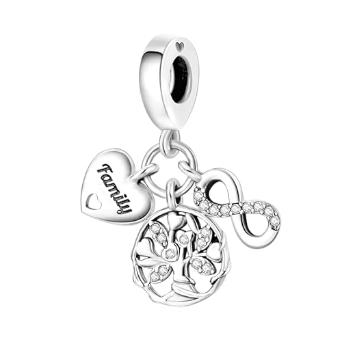 Symretie Pendentif Charm en Argent 925, Compatible avec les Bracelets et Colliers de Style Pandora et Européen. Convient aux Femmes et aux Filles.