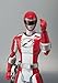 S.H. Figuarts : GoGo Sentai Boukenger Bouken Red