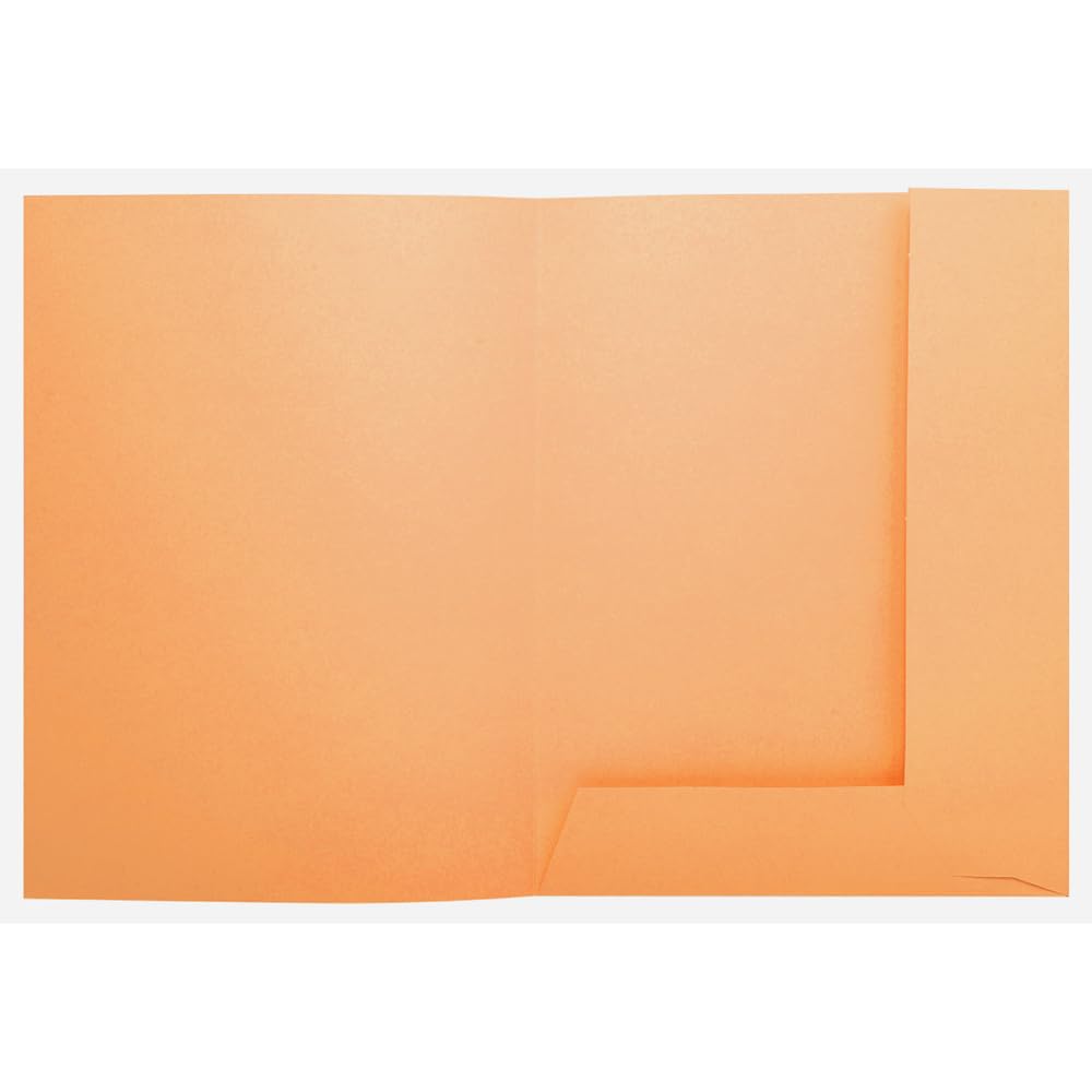Exacompta - Art.-Nr. 332007E – Karton mit 5 Packungen mit je 50 Schnellhefter mit 2 Klappen SUPER 210 g/m² – Pastellfarben – PEFC-zertifizierte Mappen – Maße: 24 x 32 cm für DIN A4 – Farbe Orange