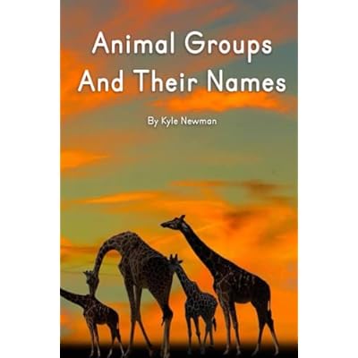 Animal Groups And Their Names