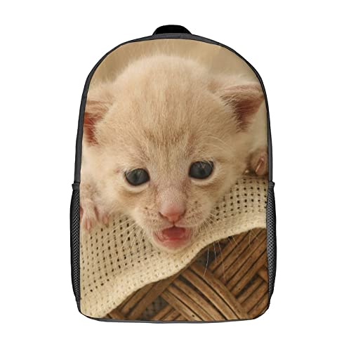 Sac à dos d'école pour enfants chat 3D style ado 17 pouces mixte pour collège et primaire