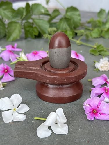 Image of Shivam VASTU AKAL 1.5 inch Original Narmadeshwar Narmada Shivling with 3 inch Narmada Stone Yoni Base Jaladhari (Mahamratunjay Shivling, Brown Damru Jaladhari)
