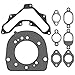 Carbman Cylinder Head Gasket Kit Compatible with Kohler SV470 SV471 SV480 SV530 SV540 SV541 SV590 SV591 SV600