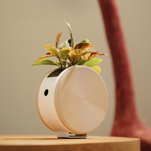 Citysens Vaso rotondo da parete o su tavolo con auto-irrigazione (beige)