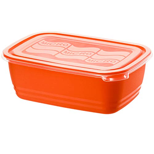 Rotho ECO Mikrowellen-Dose Vielseitig einsetzbar - Aufwärmen Transportieren oder Frischhalten 19 Liter Maße 234 x 162 x 81 mm