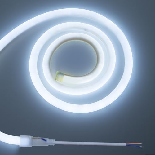 BENLUN Neon LED Strip 24V 5 Metres, Luminous 360 Degrees, 6500 K Cool White LED Lights Outdoor Waterproof, Flexible 8W/M LED Light for Bedroom Patio (Adapter Not Included)