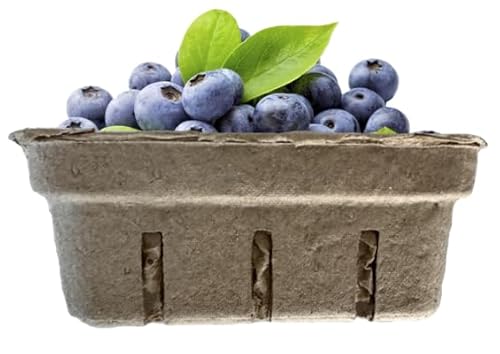 bark and lindy Half Pint Fiber Pulp Basket Container for Berries, Produce Storage, Fruit Crafting, Food Storage (10)