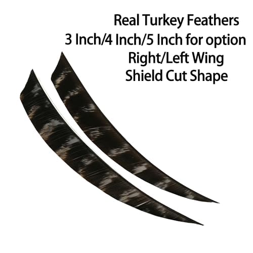 wolfman 50pcs 3\" 4\" 5”Shield Cut Archery Fletches Arrow Feathers Turkey Feather Right/Left Wing for DIY Hunting Arrows Accessories (4 Inch, Right Wing) - Thumbnail 2