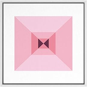 SIGNWIN Framed Canvas Wall Art Optical Illusion Line...