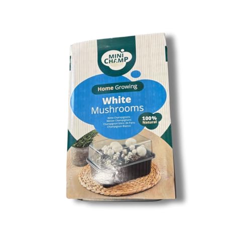 mini champ - Kit culture champignons de Paris Blanc Minichamp 3 litres