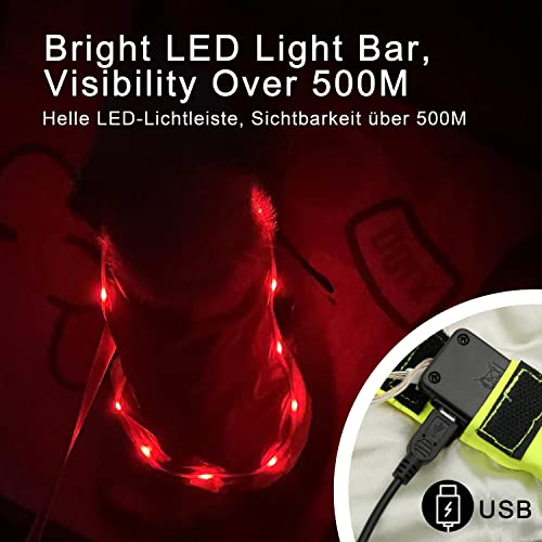 LaRoo Hunderegenmantel, Leuchtendes LED Wasserdicht Winter Reflektierende Regenmantel für Hunde mit Bauchschutz,USB Wiederaufladbarem Sicherheitsweste für Kleine Grosse Hunde(M,Fluoreszierende Orange)