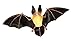 Safari Ltd Incredible Creatures Townsend's Big-Eared Bat