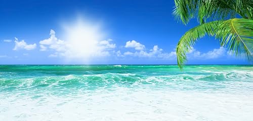 Tableau acrylique mer 100x50 grand panorama de plage pour salon lumineux