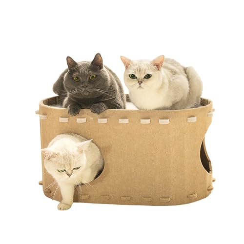 MSBC L܂Ƃ tFgnEX܂Ƃ LpnEX I[V[Y tbL[BVnEX gݗĎ 킢 y v [֗ TCY58×33×33cm L BV