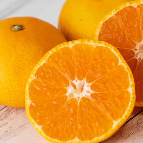 S̎Ќi B݂ TCYC 9kg ` 10kg 󂠂 a̎R݂ a̎R   Â݂ ݂ F{݂ Y ݂ ƒp ꌧ  ݂  ݂̋Gߕւ