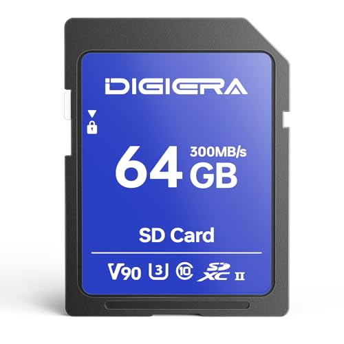 64GB LSU200 SDXC UHS-II Memory Card - up to 300MB/s, C10, U3, V90, 8K, SD Card for Computers, Digital Cameras, Home Theatre Devices, Car Navigation Systems (1 Pack)
