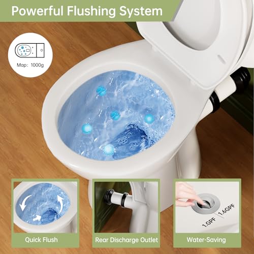 Simple Project Rear Outlet Toilet, Simple Project 19 Inch High Toilet thumb #4
