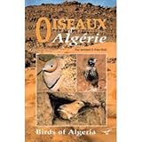 oiseau algerie  Oiseaux d\'Algérie : birds of algeria