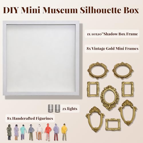Shadow box avec éclairage LED et vitrine miniature pour salon