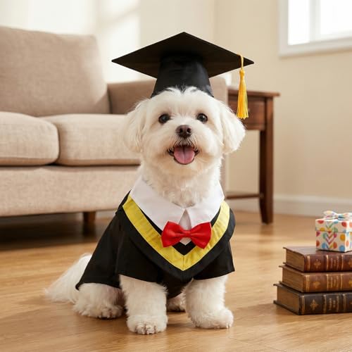 Disfraz de Graduación 2 Pzs para Perros y Gatos miniatura 5