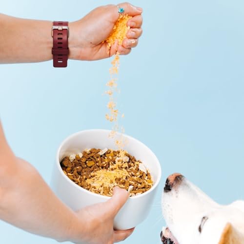 Image of Yummers Premium Cheddar Cheese Meal Mix-Ins, 2.5 oz - Flavor Dog Food Topper for Dry Food - Add Ins, Meal Toppers, Treat Mix - Freeze-Dried for Maximum Flavor - All-Natural & Free of Preservatives