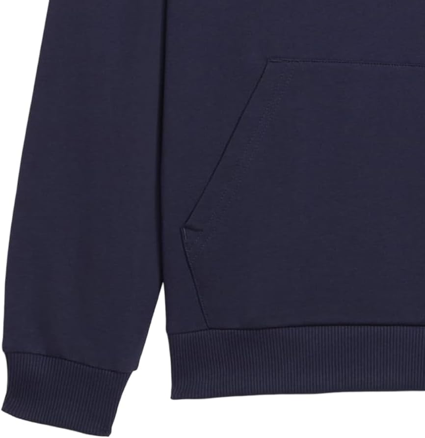 PUMA Kids' Teamgoal Casuals Hoodie