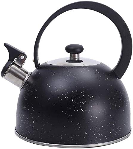 Théière en acier inoxydable 2,5L SHISHI avec sifflet pour plaques induction et gaz