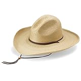 Stetson Men's Cowboy Hat