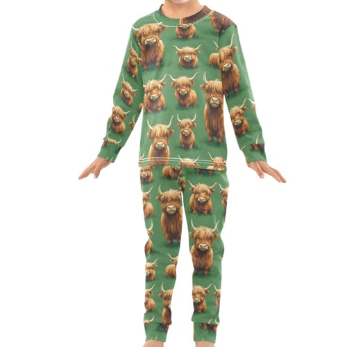 Pigsaly Pajama Set 2 Piece Spring Grass Cute Brown Highland Cow Cattle Pajama Sets Long Sleeve Pjs Sleepwear 3T3