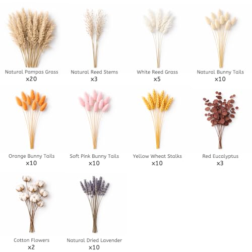 Set natural de flores secas para decoración y manualidades miniatura 4