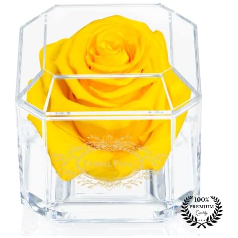 Eternal Petals Solo - A Real Rose That Lasts A Year - Perfect Unique Gift for Women, Men, Birthday Gift (Yellow) Cover