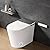 BAYTINA Smart Toilet,one piece toilet with Bidet Built In,Modern Elongated Toilet with a Built-in Tank,heated toilet seat,bidet warm water,dryer,automatic toilet flusher,Foot Sensor Operation