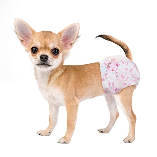Find The Best Disposable Female Dog Diapers Reviews & Comparison Katynel
