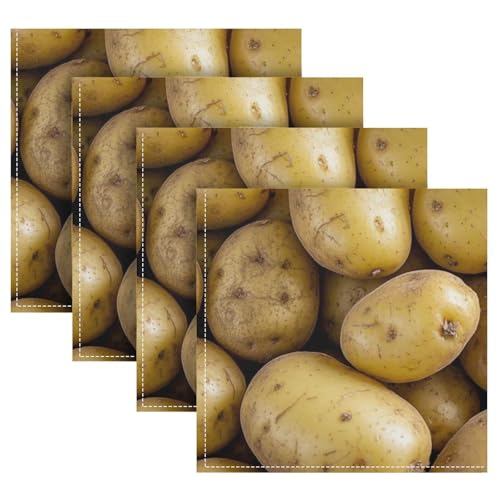 Servilletas de Tela Cuadradas 20 x 20 pulgadas Pack de 4 miniatura 1