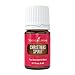 Young Living Christmas Spirit Essential Oil Blend 5 ml